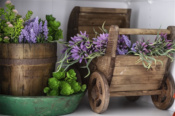 Fotografie din studio